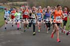 Senior womens North Eastern Counties AA Road Relay Champs., Hetton Lyons Country Park, Hetton-le-hole, County Durham